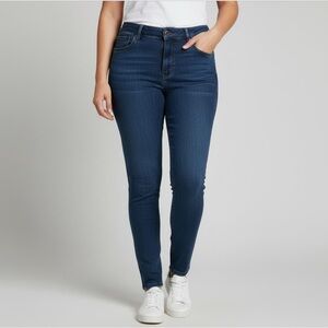 Pistola Arielle Medium Dark Wash Skinny Stretch Jean Women’s Plus Size 18W